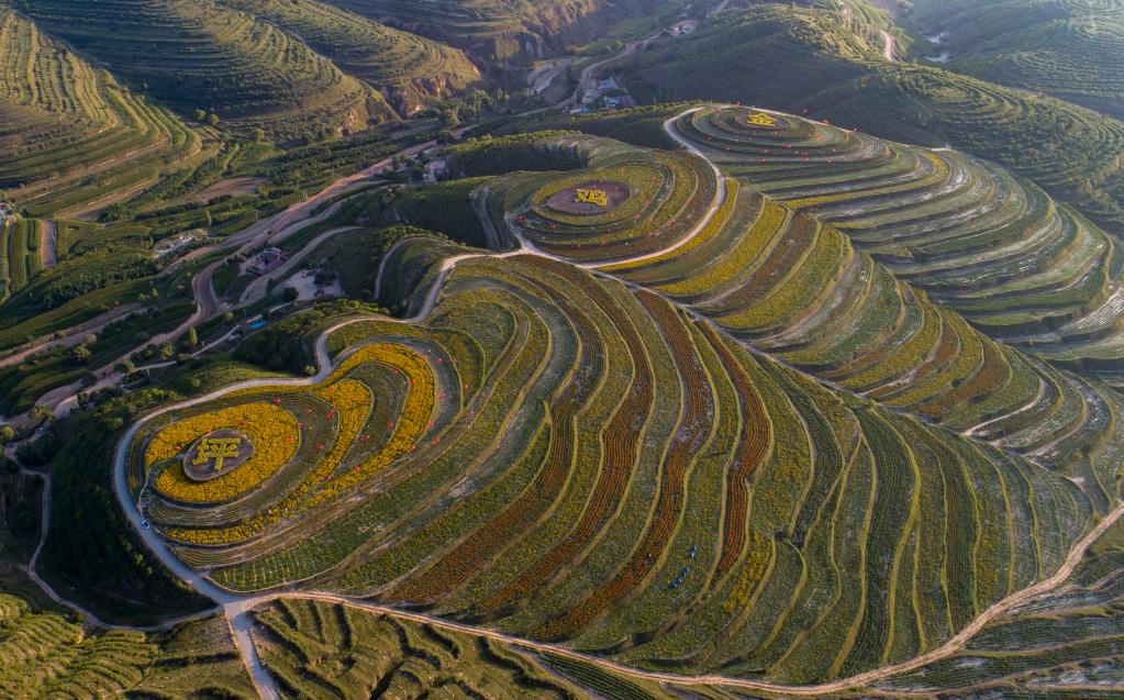 宁夏彭阳县治理后的旱作梯田.新华社记者杨植森摄
