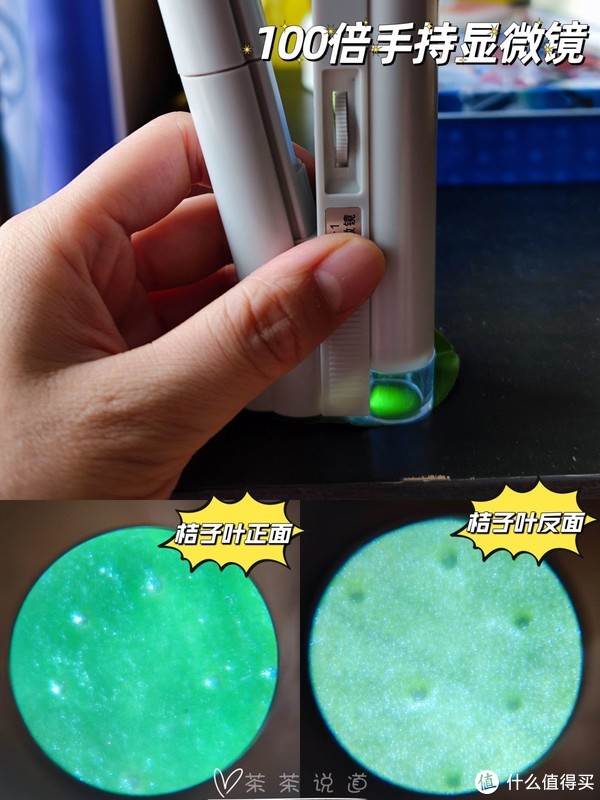 作为家长，怎么发现和培养孩子的兴趣爱好？教你5个实用小技巧休闲区蓝鸢梦想 - Www.slyday.coM