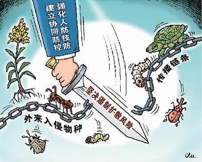 向外来物种入侵说不目前中国已发现660多种外来入侵物种威胁本地物种
