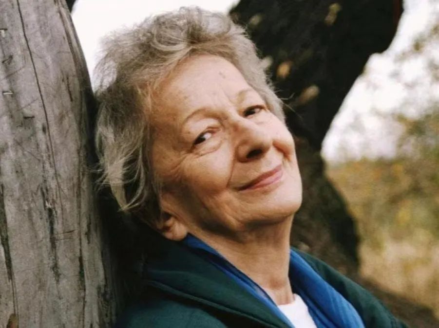 只有玫瑰才能盛开如玫瑰波兰诗人辛波斯卡下