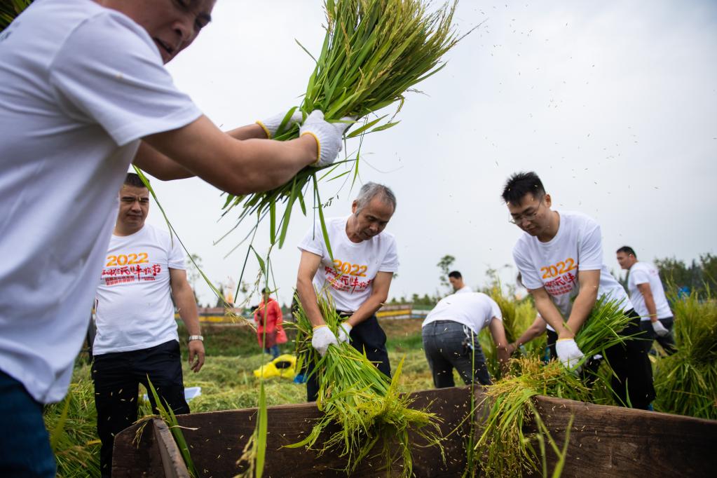 【网络中国节·秋分】节气里的中国丨秋分：品味收获的美好休闲区蓝鸢梦想 - Www.slyday.coM