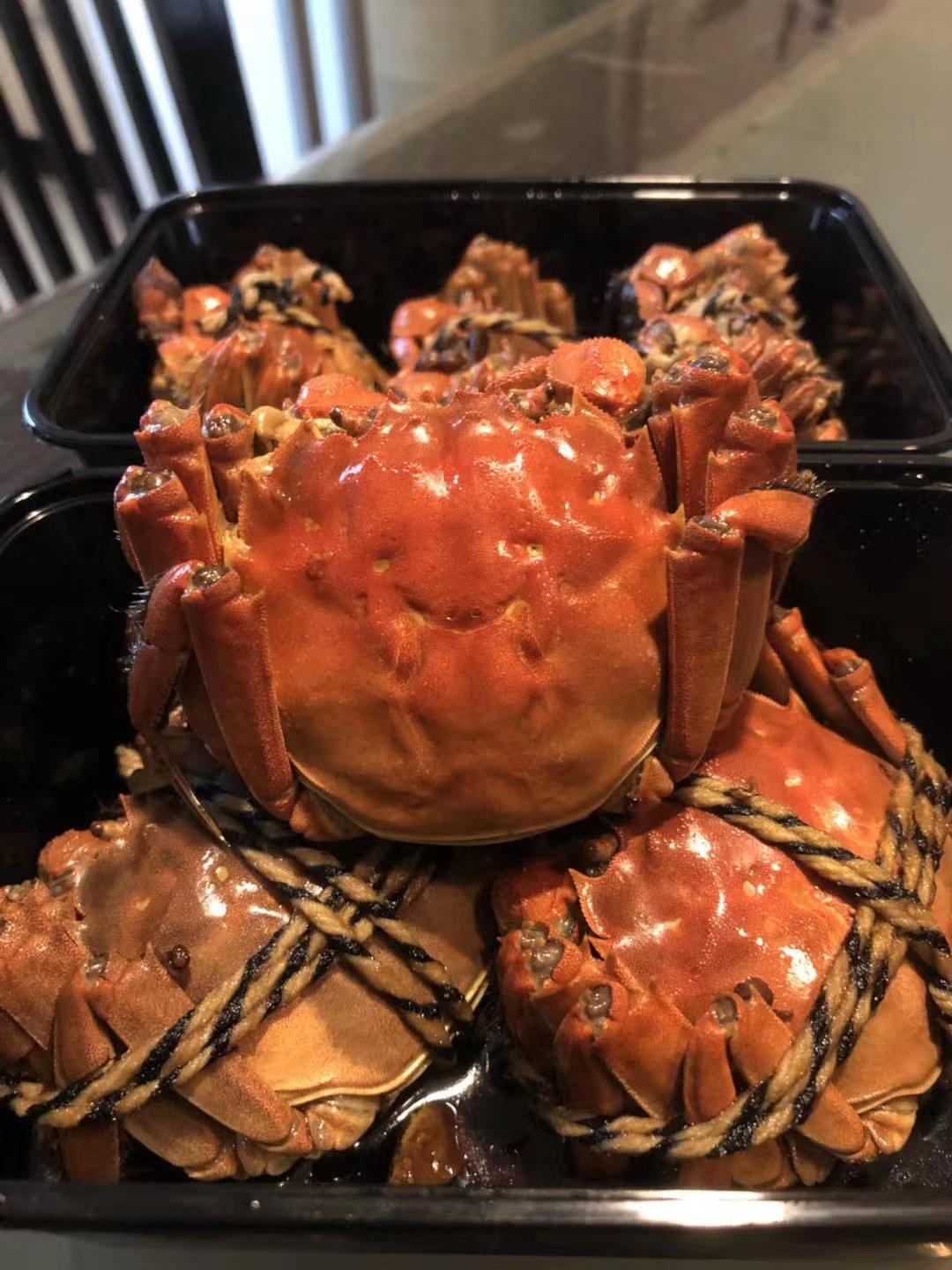 【悦休闲区蓝鸢梦想 - Www.slyday.coM