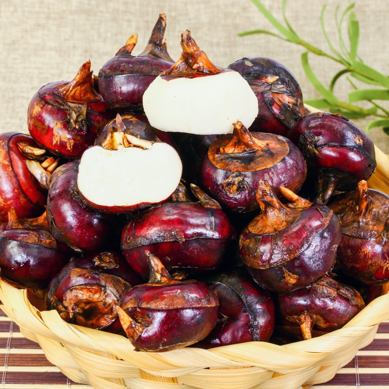 【悦休闲区蓝鸢梦想 - Www.slyday.coM