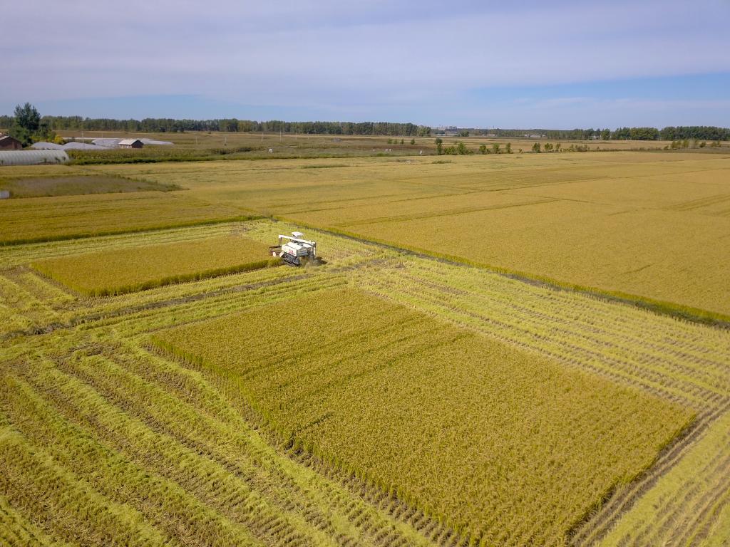 【网络中国节·秋分】节气里的中国丨秋分：品味收获的美好休闲区蓝鸢梦想 - Www.slyday.coM