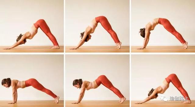 一套针对脊柱的瑜伽序列，有效缓解背部/脊柱僵硬（收藏级）休闲区蓝鸢梦想 - Www.slyday.coM