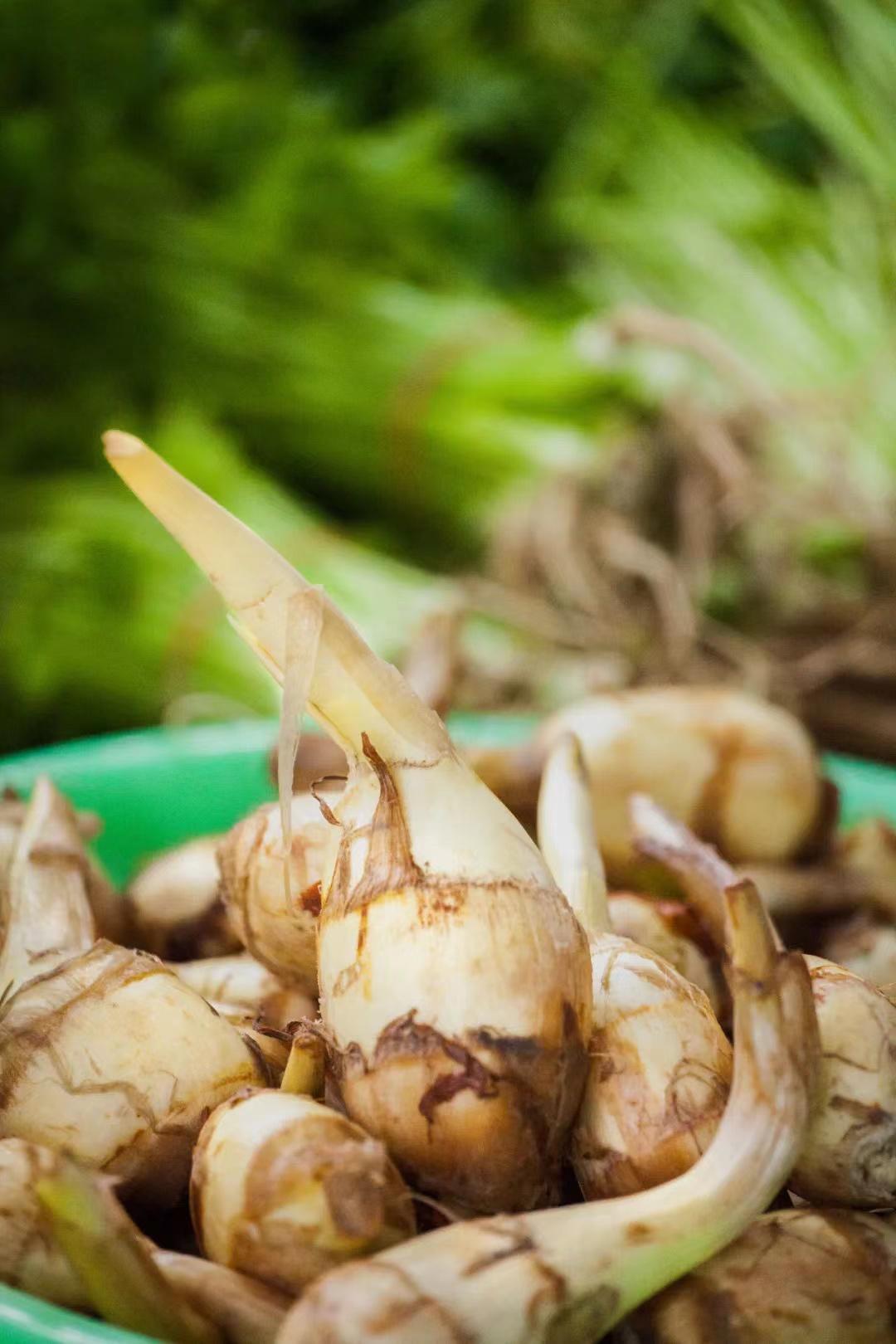 【悦休闲区蓝鸢梦想 - Www.slyday.coM