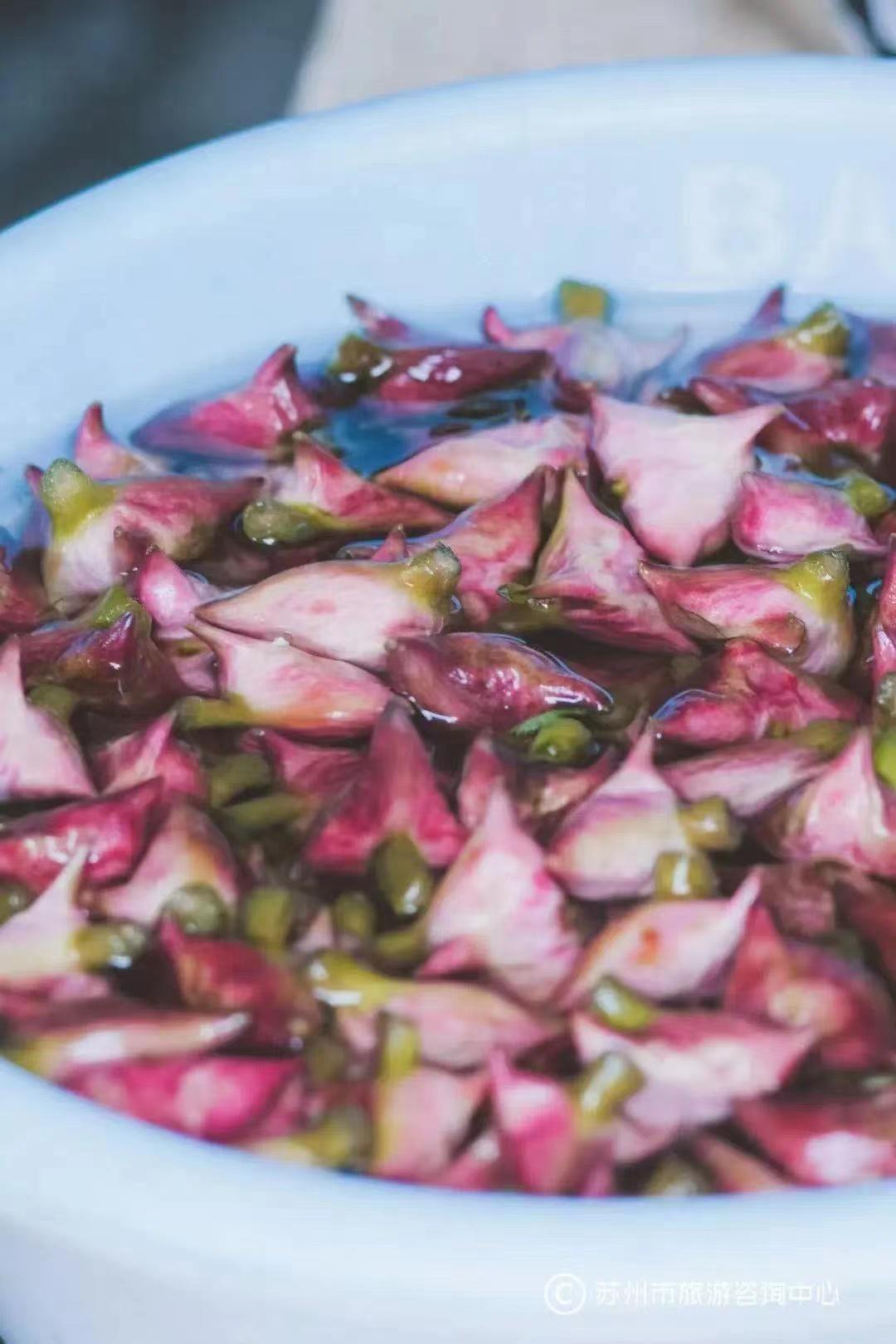 【悦休闲区蓝鸢梦想 - Www.slyday.coM