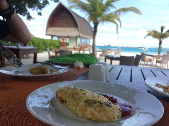 晚餐吃得早与晚餐吃得晚，到底有多大的区别？看看最新的研究显示休闲区蓝鸢梦想 - Www.slyday.coM