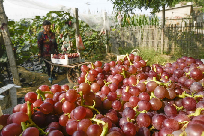 秋分养生注意润肺防燥，广安门医院专家分享“节气食谱”休闲区蓝鸢梦想 - Www.slyday.coM