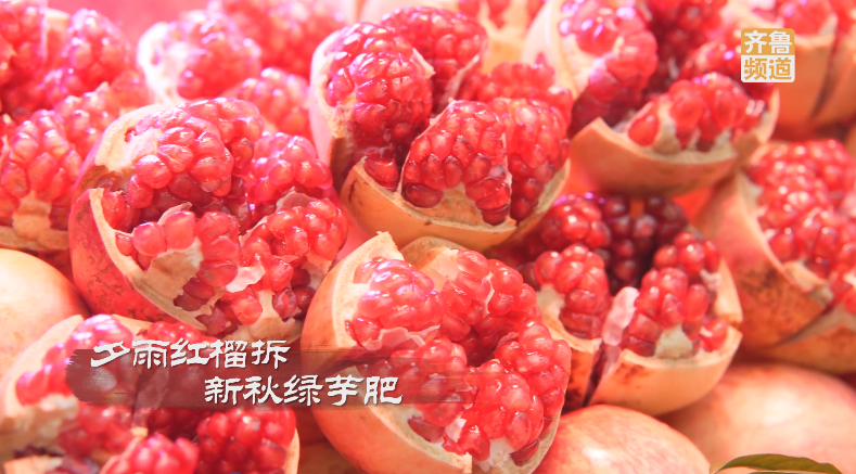 pick山东丰收“色号”，你碗里的颜色山东都有！休闲区蓝鸢梦想 - Www.slyday.coM