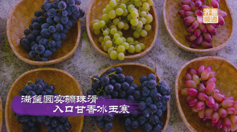 pick山东丰收“色号”，你碗里的颜色山东都有！休闲区蓝鸢梦想 - Www.slyday.coM