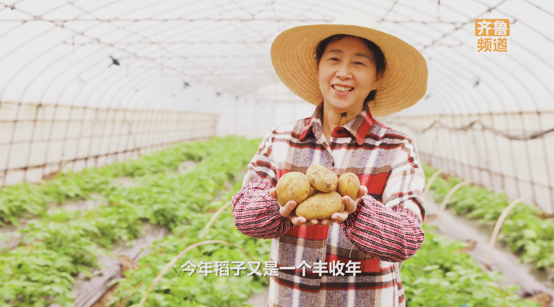 pick山东丰收“色号”，你碗里的颜色山东都有！休闲区蓝鸢梦想 - Www.slyday.coM