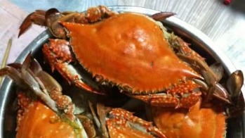 【悦休闲区蓝鸢梦想 - Www.slyday.coM