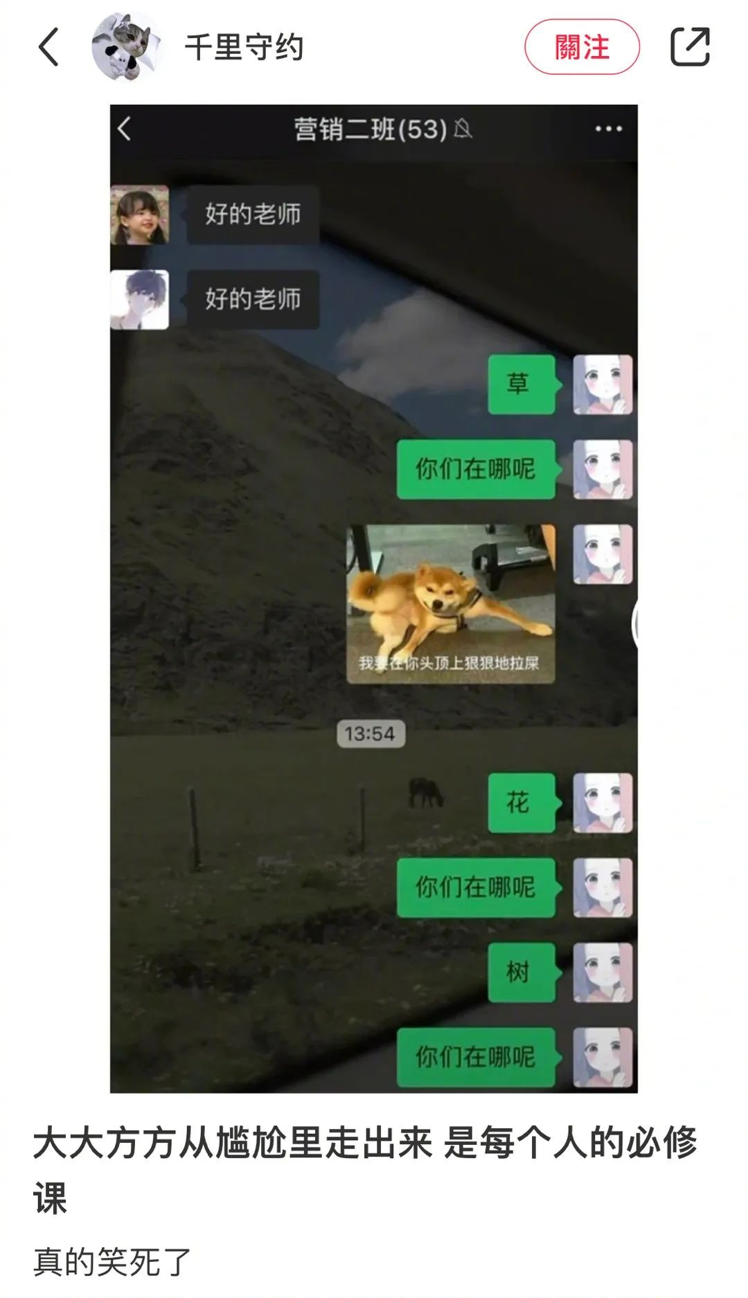 爽子发疯的原因找到了？！网友：对不起黄晓明！张翰给的油实在太多了！休闲区蓝鸢梦想 - Www.slyday.coM