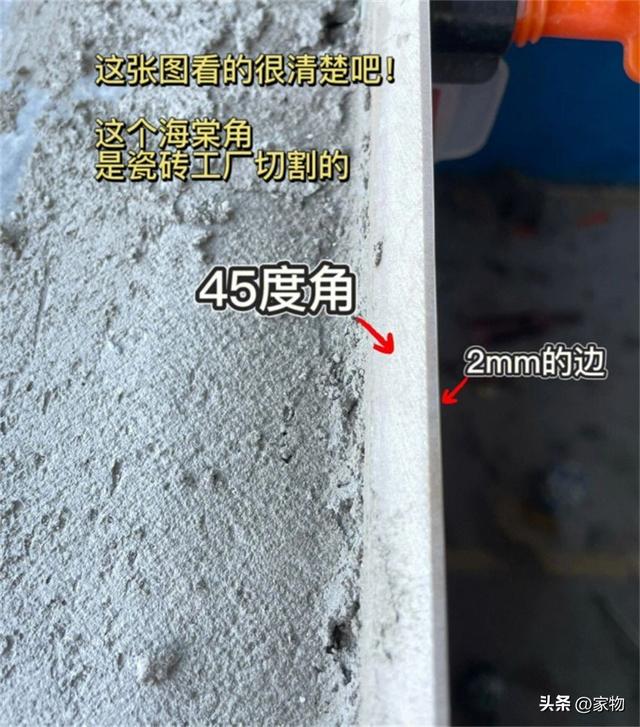 为什么“海棠角”越来越受欢迎？看完它的3大优势，你就懂了休闲区蓝鸢梦想 - Www.slyday.coM