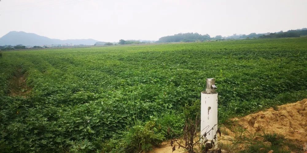 撂荒地变绿色田园，饭碗端得更稳了休闲区蓝鸢梦想 - Www.slyday.coM