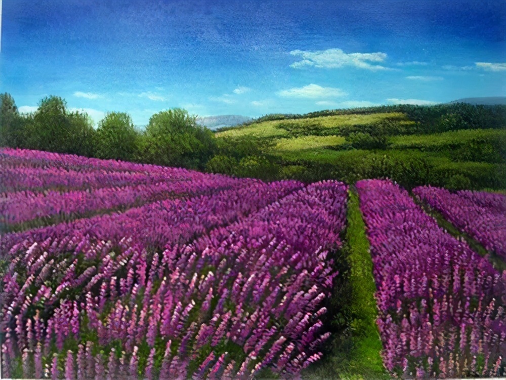 一个心里住着别人的人，你就不要去喜欢了休闲区蓝鸢梦想 - Www.slyday.coM