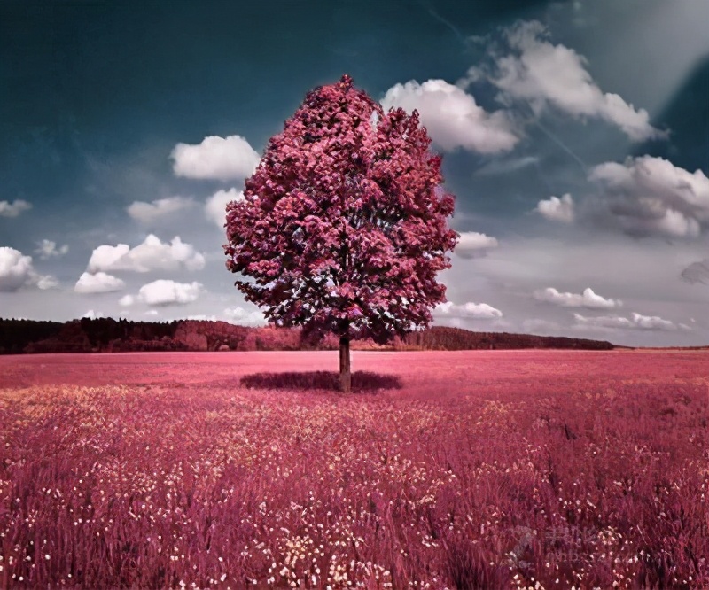 一个心里住着别人的人，你就不要去喜欢了休闲区蓝鸢梦想 - Www.slyday.coM