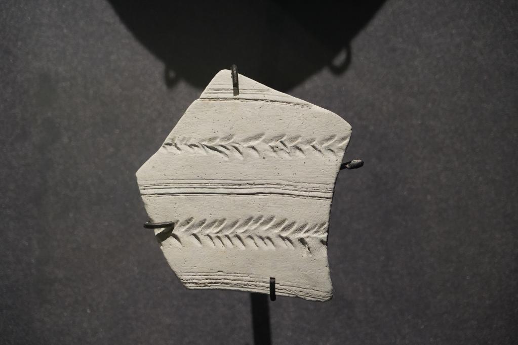 宝墩遗址展馆内陈列的已有4500年历史的稻谷.