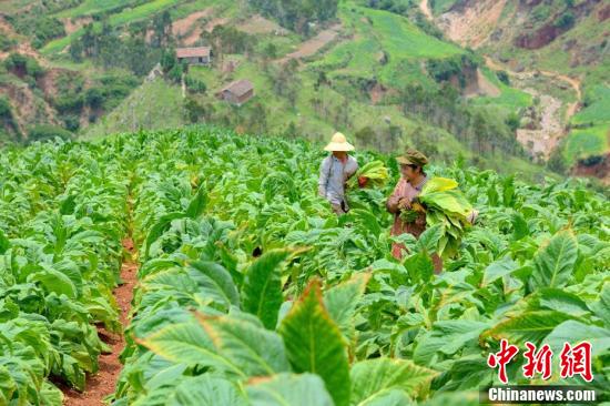 镜头下的大凉山：走进“川滇明珠”——会东县休闲区蓝鸢梦想 - Www.slyday.coM