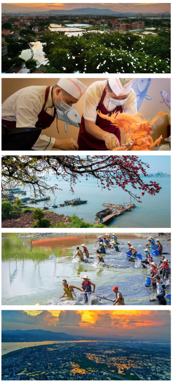 捉塘底、数鱼花……在南海，丰收节还能这样玩→休闲区蓝鸢梦想 - Www.slyday.coM