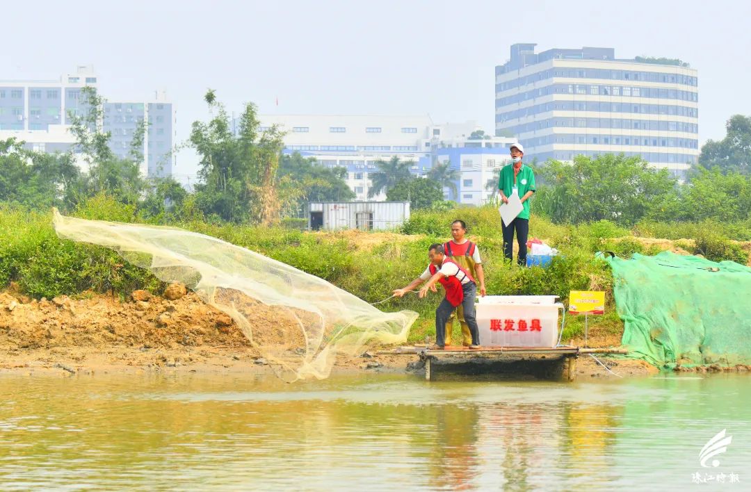 捉塘底、数鱼花……在南海，丰收节还能这样玩→休闲区蓝鸢梦想 - Www.slyday.coM
