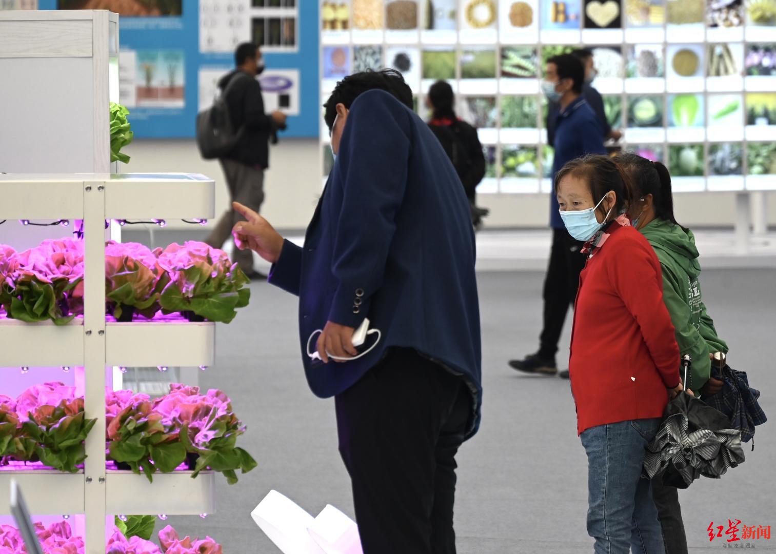 丰收节来了！这座“岛”上不仅有儿时味道，还有升级版的“海洋牧场”休闲区蓝鸢梦想 - Www.slyday.coM