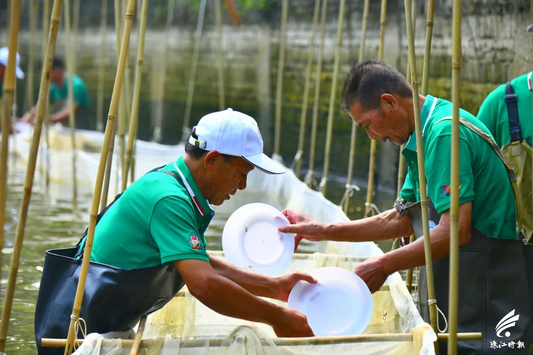 捉塘底、数鱼花……在南海，丰收节还能这样玩→休闲区蓝鸢梦想 - Www.slyday.coM