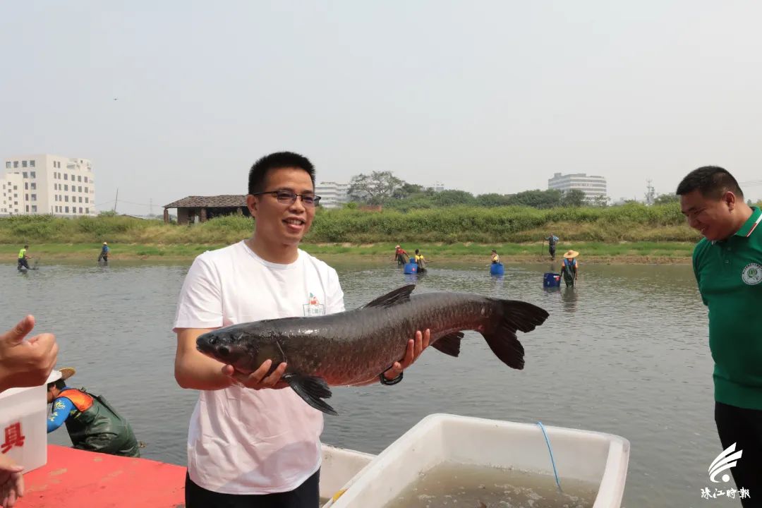 捉塘底、数鱼花……在南海，丰收节还能这样玩→休闲区蓝鸢梦想 - Www.slyday.coM