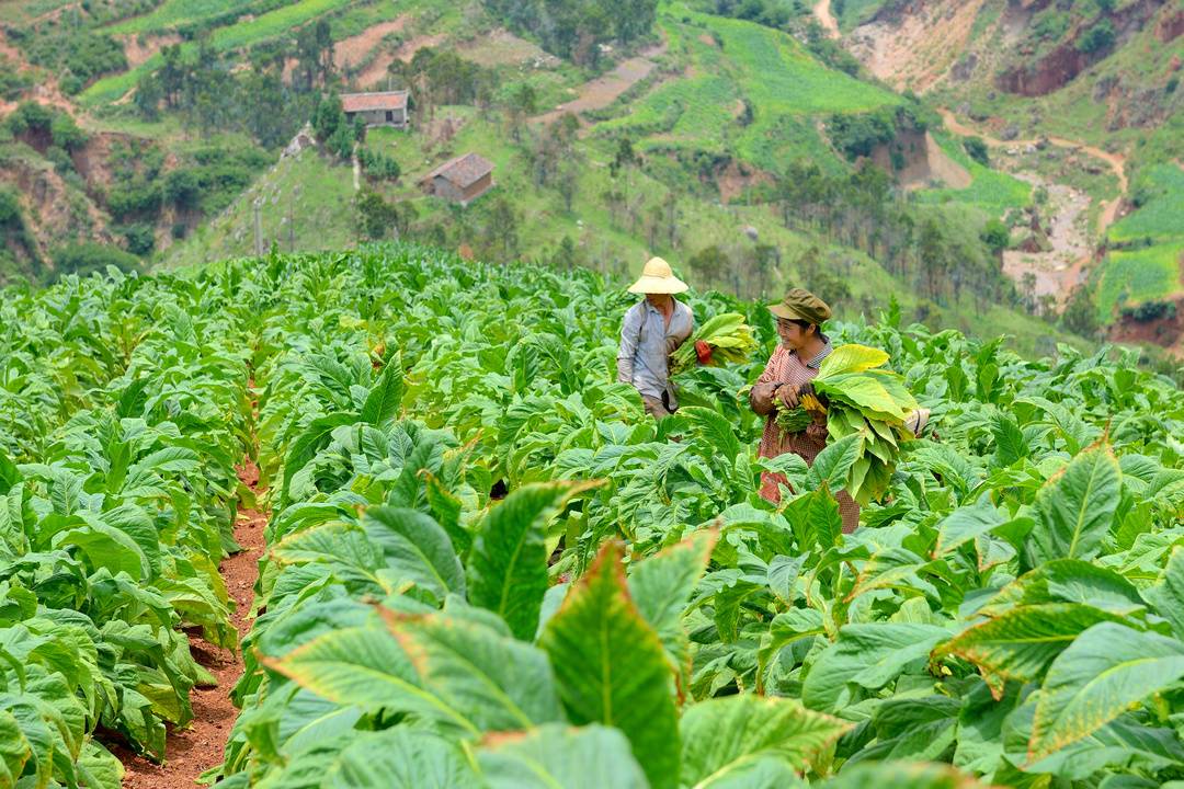镜头下的大凉山：凉山州成立70周年县市风采——会东县休闲区蓝鸢梦想 - Www.slyday.coM