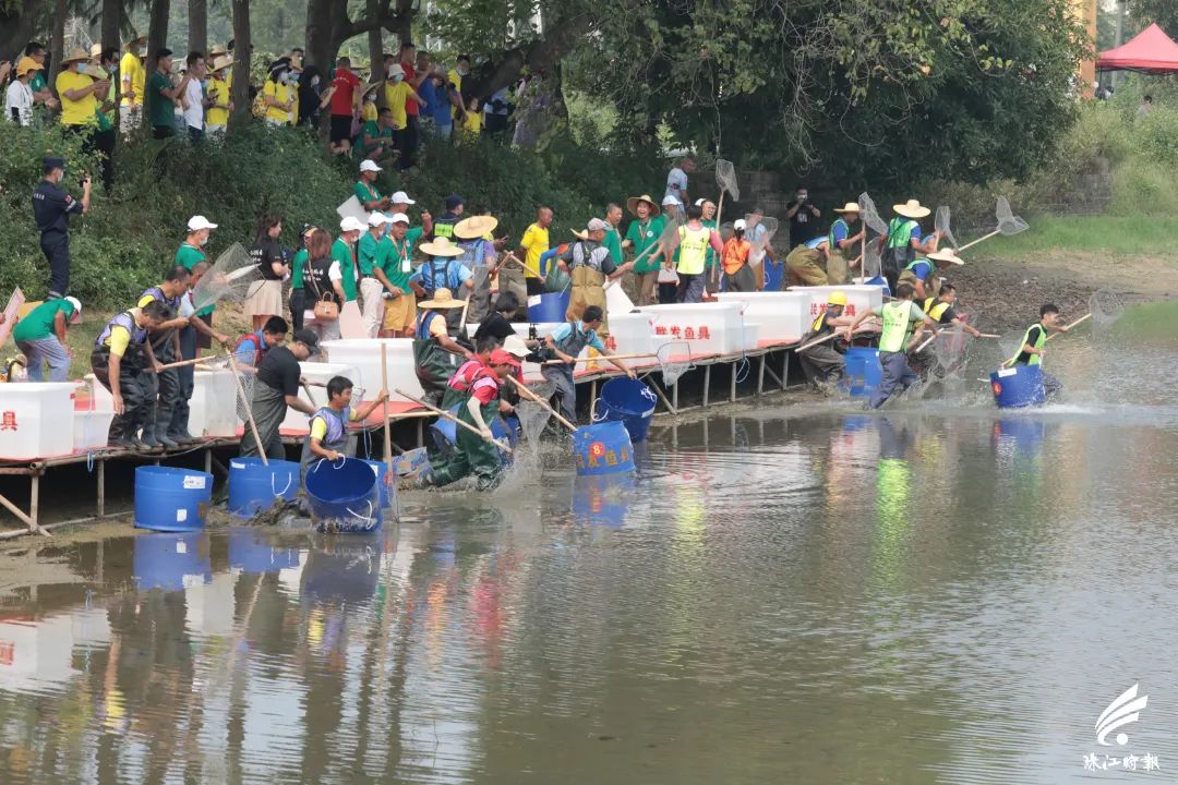 捉塘底、数鱼花……在南海，丰收节还能这样玩→休闲区蓝鸢梦想 - Www.slyday.coM