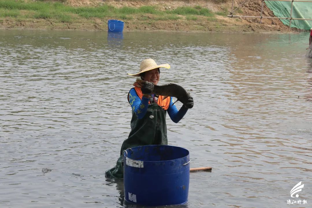 捉塘底、数鱼花……在南海，丰收节还能这样玩→休闲区蓝鸢梦想 - Www.slyday.coM