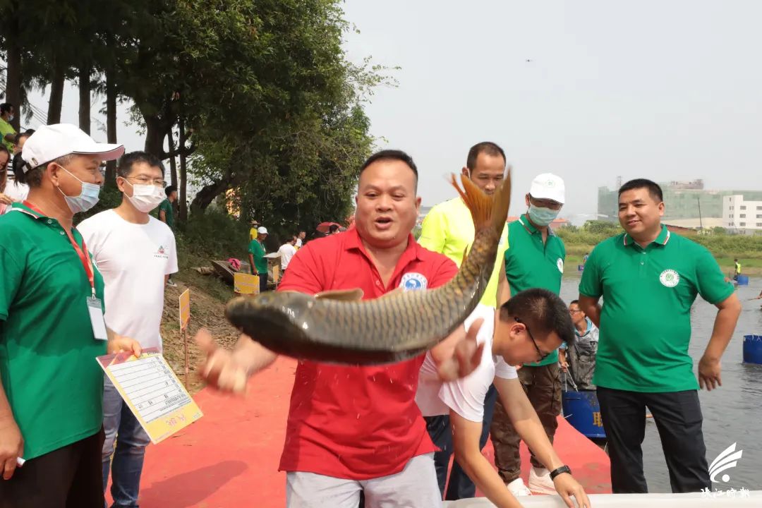 捉塘底、数鱼花……在南海，丰收节还能这样玩→休闲区蓝鸢梦想 - Www.slyday.coM