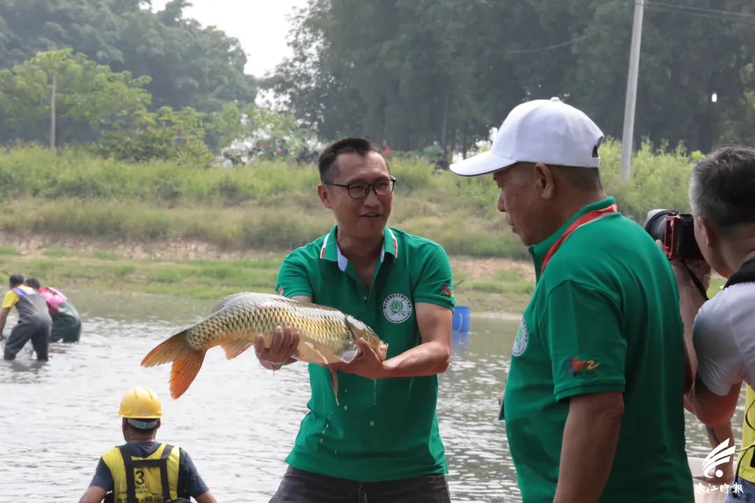 捉塘底、数鱼花……在南海，丰收节还能这样玩→休闲区蓝鸢梦想 - Www.slyday.coM