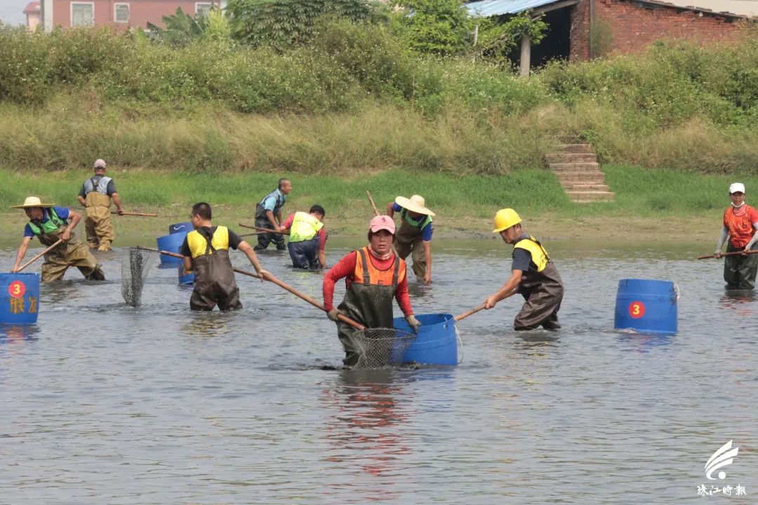 捉塘底、数鱼花……在南海，丰收节还能这样玩→休闲区蓝鸢梦想 - Www.slyday.coM