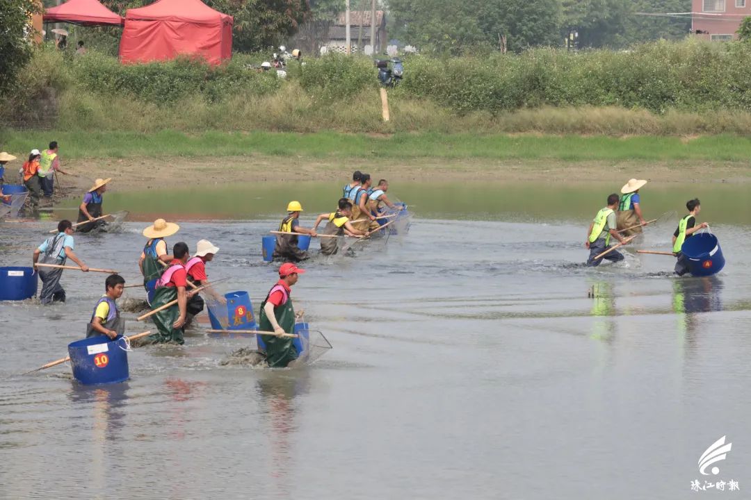 捉塘底、数鱼花……在南海，丰收节还能这样玩→休闲区蓝鸢梦想 - Www.slyday.coM