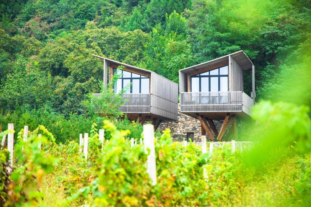 国庆长假去哪里，美丽村庄邀您来！请您为心仪的“最美片区”打call！休闲区蓝鸢梦想 - Www.slyday.coM