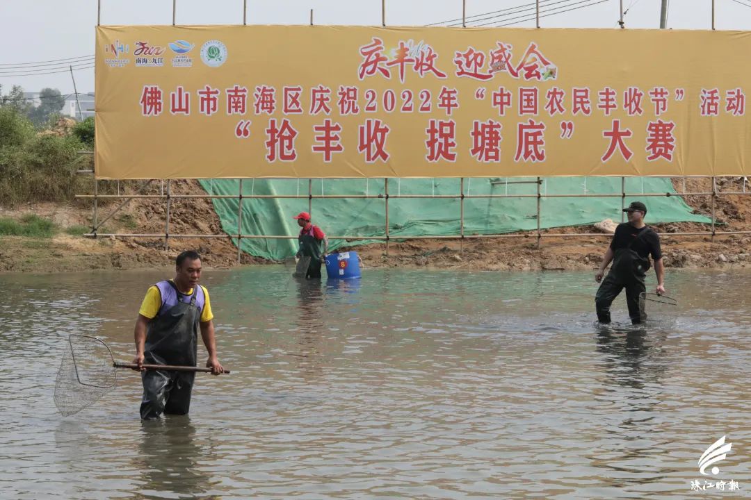 捉塘底、数鱼花……在南海，丰收节还能这样玩→休闲区蓝鸢梦想 - Www.slyday.coM