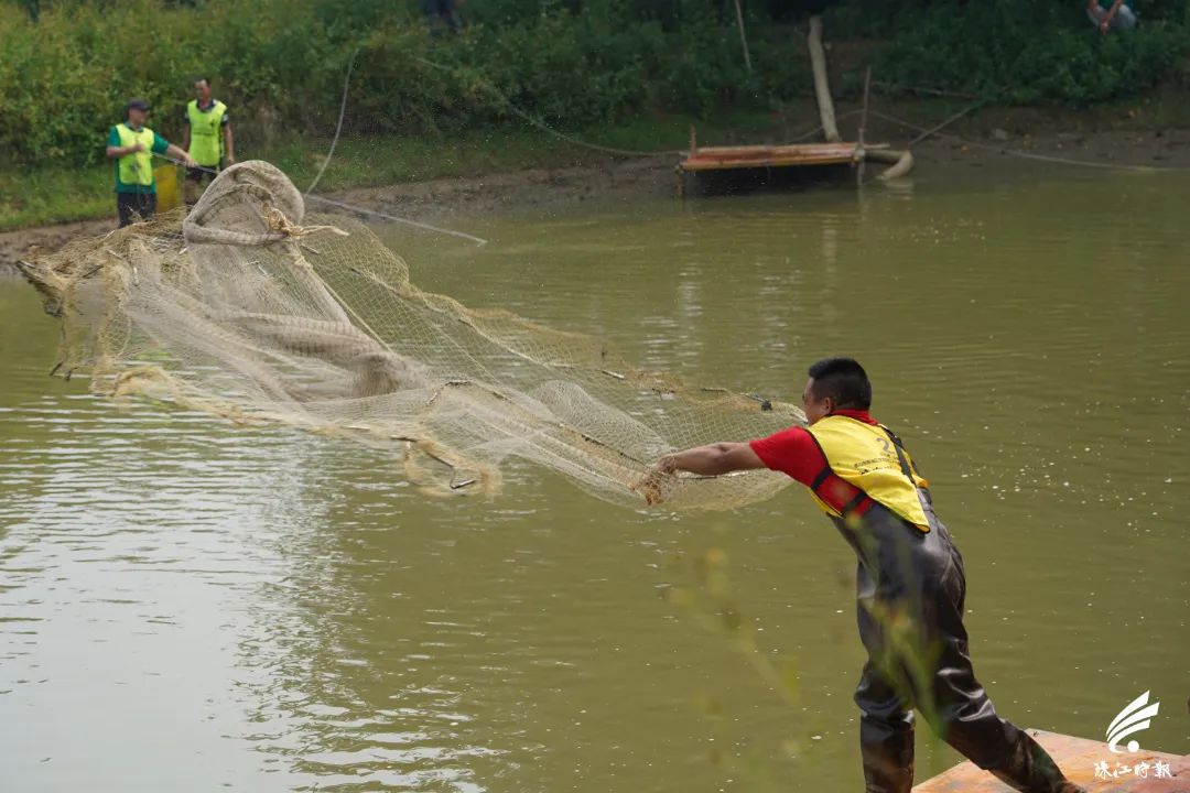 捉塘底、数鱼花……在南海，丰收节还能这样玩→休闲区蓝鸢梦想 - Www.slyday.coM