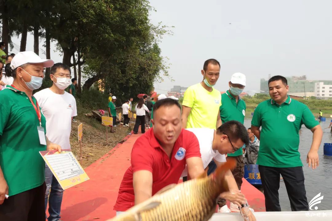 捉塘底、数鱼花……在南海，丰收节还能这样玩→休闲区蓝鸢梦想 - Www.slyday.coM