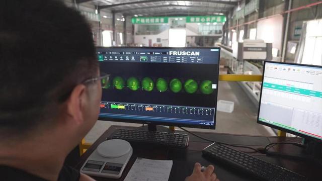 农民丰收节来了，宜昌蜜桔登陆“多多丰收馆”休闲区蓝鸢梦想 - Www.slyday.coM