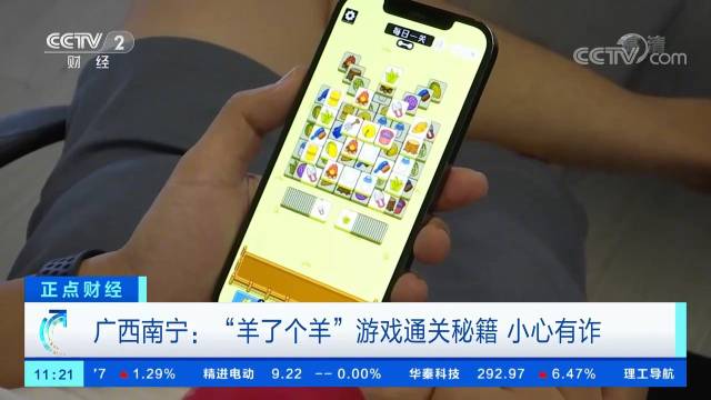 《羊了个羊》通关诈骗事件频现，央视揭秘相关诈骗陷阱休闲区蓝鸢梦想 - Www.slyday.coM