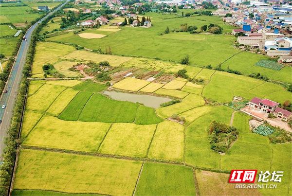 今日秋分！这些画面，撑起了湖南的秋日颜值休闲区蓝鸢梦想 - Www.slyday.coM