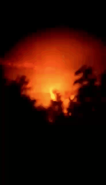 一场烧了五天五夜的山火，看主人和狗狗们如何极限求生！休闲区蓝鸢梦想 - Www.slyday.coM