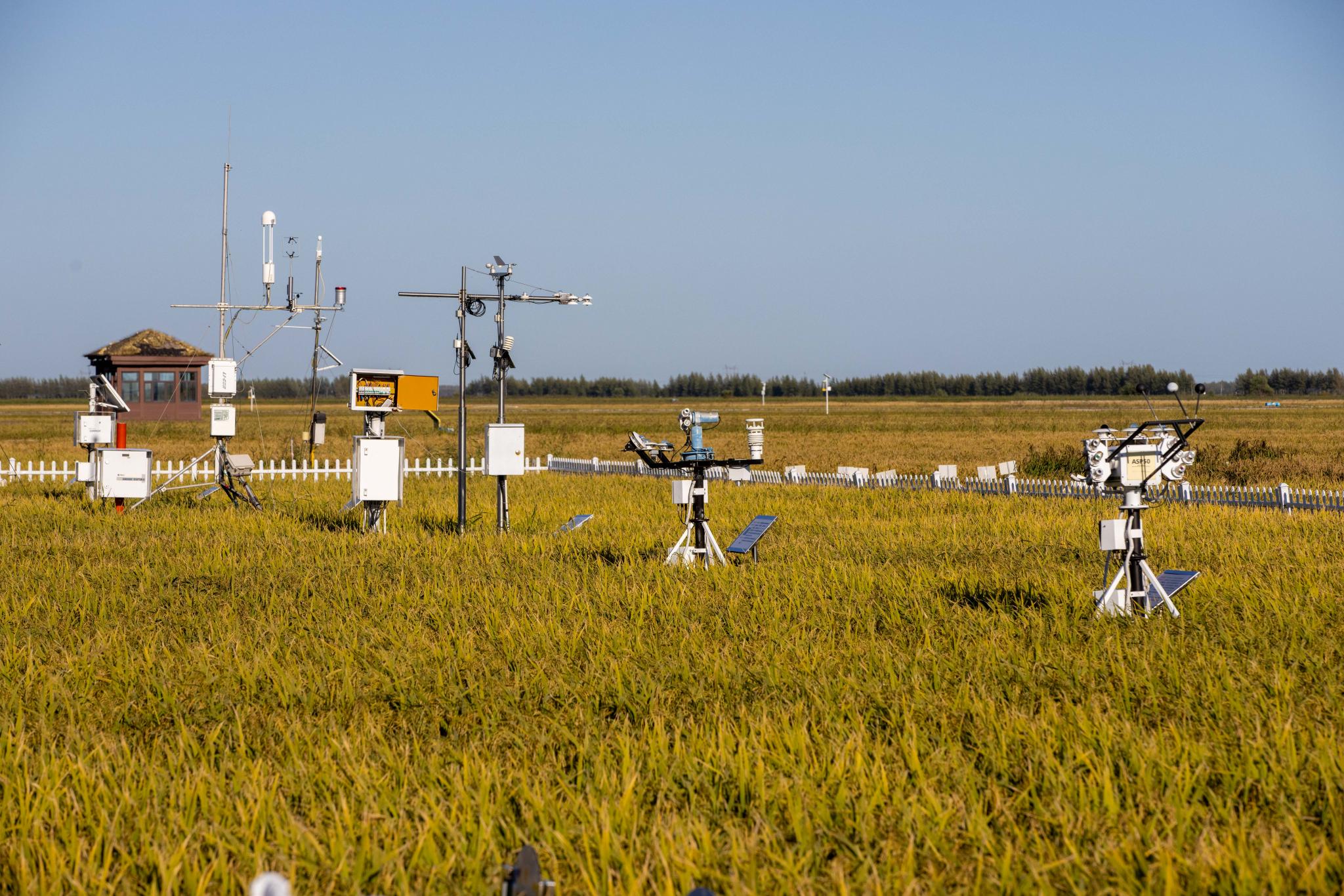 中国这十年·中国故事休闲区蓝鸢梦想 - Www.slyday.coM