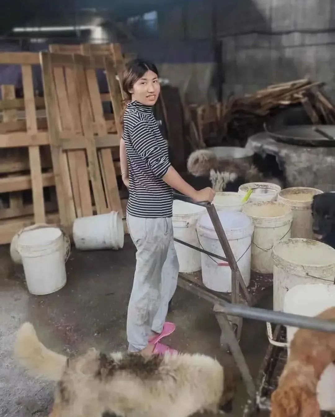 一场烧了五天五夜的山火，看主人和狗狗们如何极限求生！休闲区蓝鸢梦想 - Www.slyday.coM