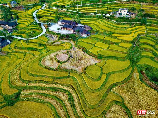 今日秋分！这些画面，撑起了湖南的秋日颜值休闲区蓝鸢梦想 - Www.slyday.coM