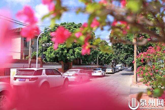 鲤侨名厝①｜你所不知道的华侨新村！休闲区蓝鸢梦想 - Www.slyday.coM