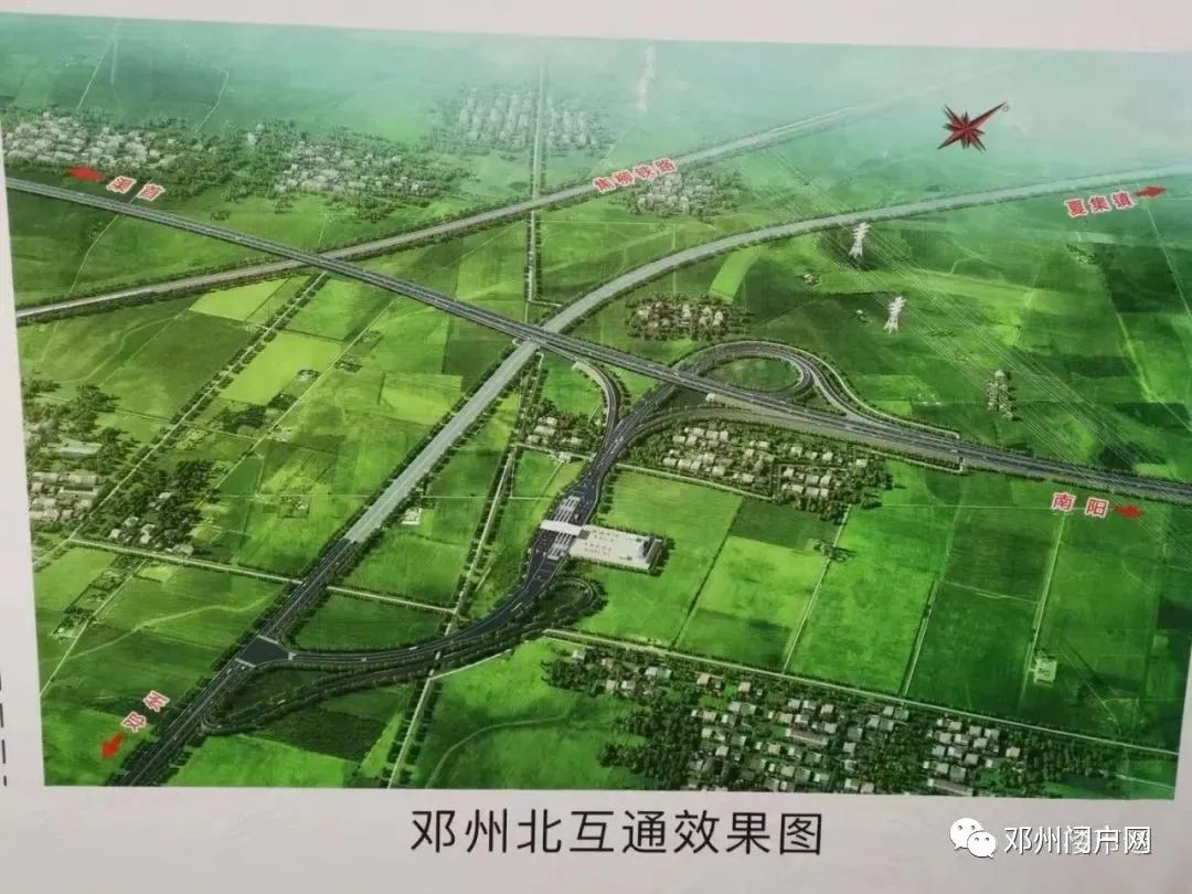 这个是南邓字花36种生物谜语破解标题请各位帮助破解