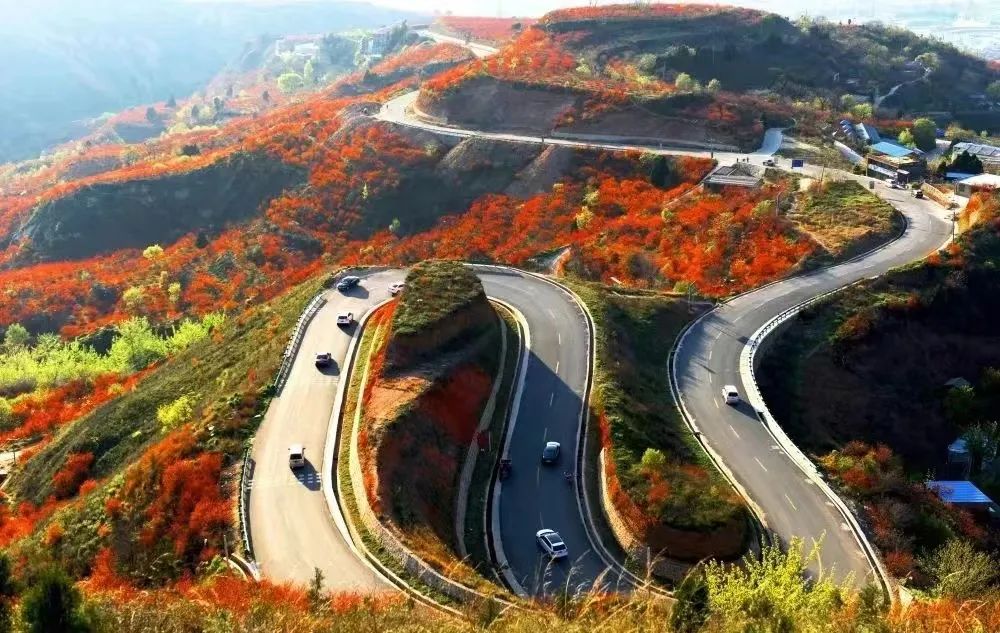 国庆长假去哪里，美丽村庄邀您来！请您为心仪的“最美片区”打call！休闲区蓝鸢梦想 - Www.slyday.coM